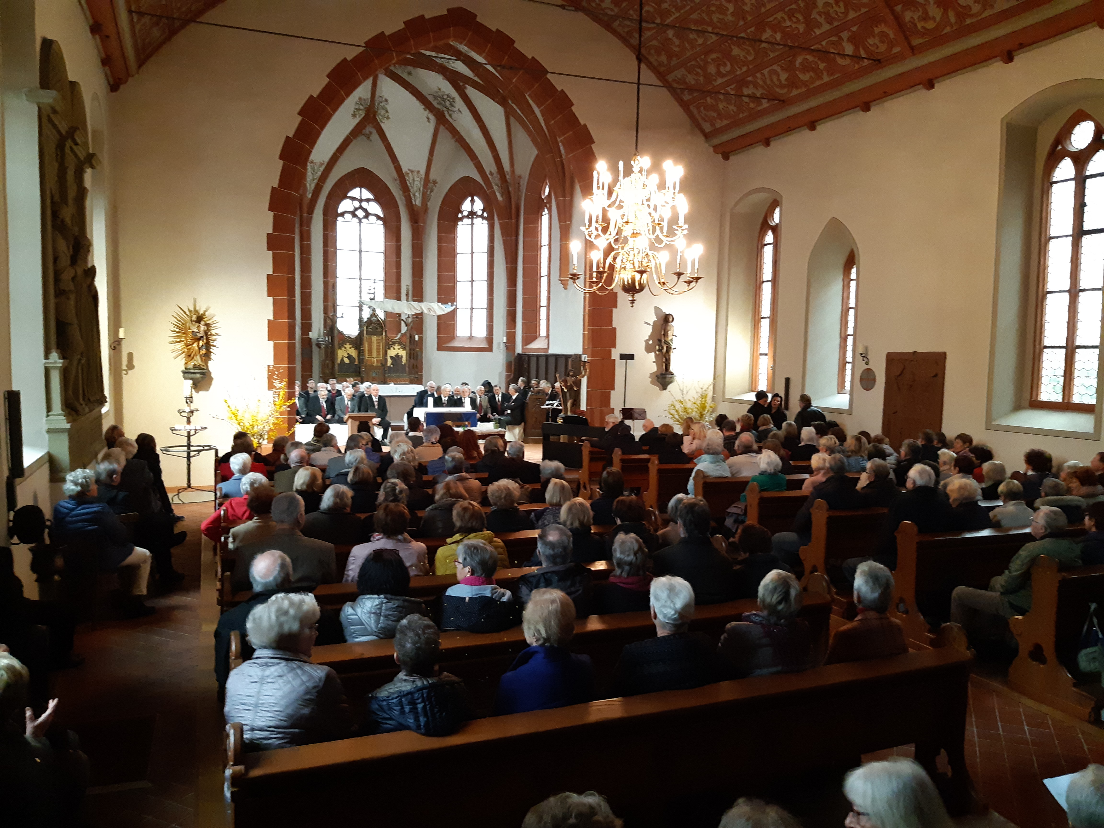 IMG_20190324_155515.jpg IMG_20190324_155515.jpg